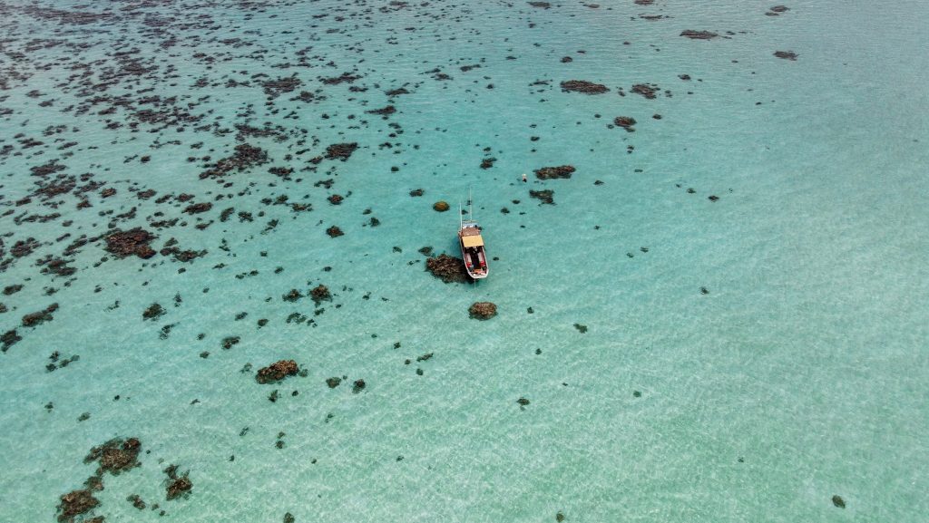 default Shallows of Ahnd Atoll, Pohnpei FSM