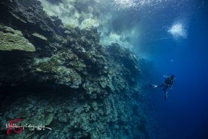 Pohnpei_Surf_Club_KirinSekito_24_9_2025-1